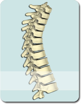 Medicine and Surgery of the Spine