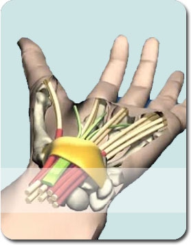 Hand and wrist surgery - Arthroscopy