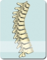 Médecine et Chirurgie du Rachis